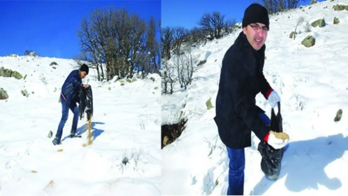 MÜSLÜMANLARIN DAĞLARINDA KUŞLAR AÇ KALDI DEMESİNLER