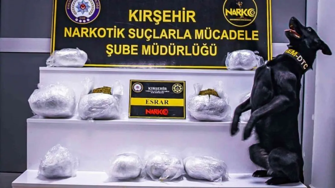 Narkotik Köpeği 'Çine' 8 kilo uyuşturucu yakaladı