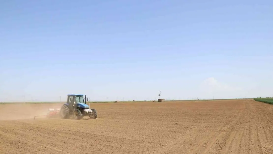 Niğde'de fasülye ve barbunya ekimi başladı