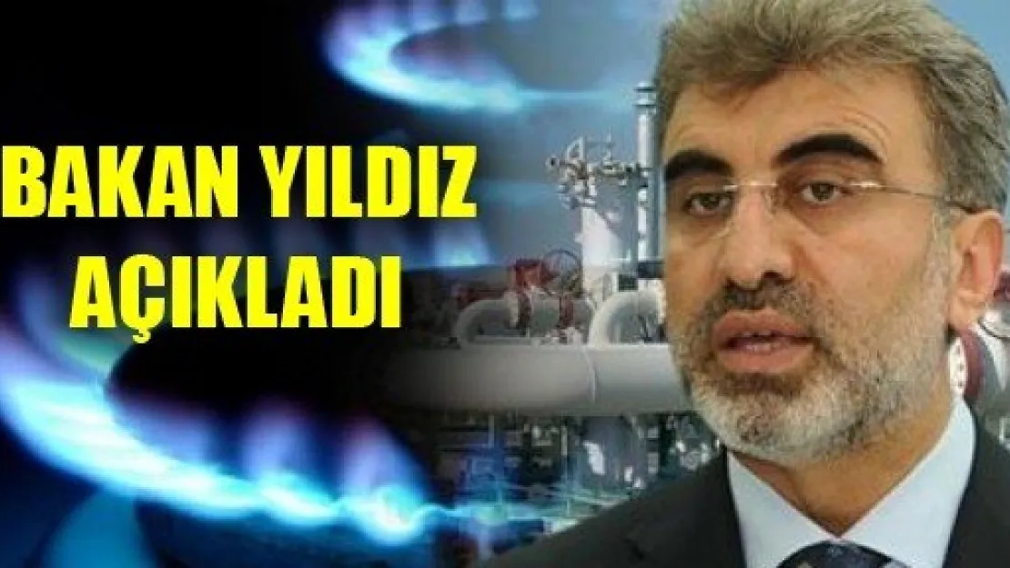 'Ocak'ta elektrik ve doğalgaza zam yok'