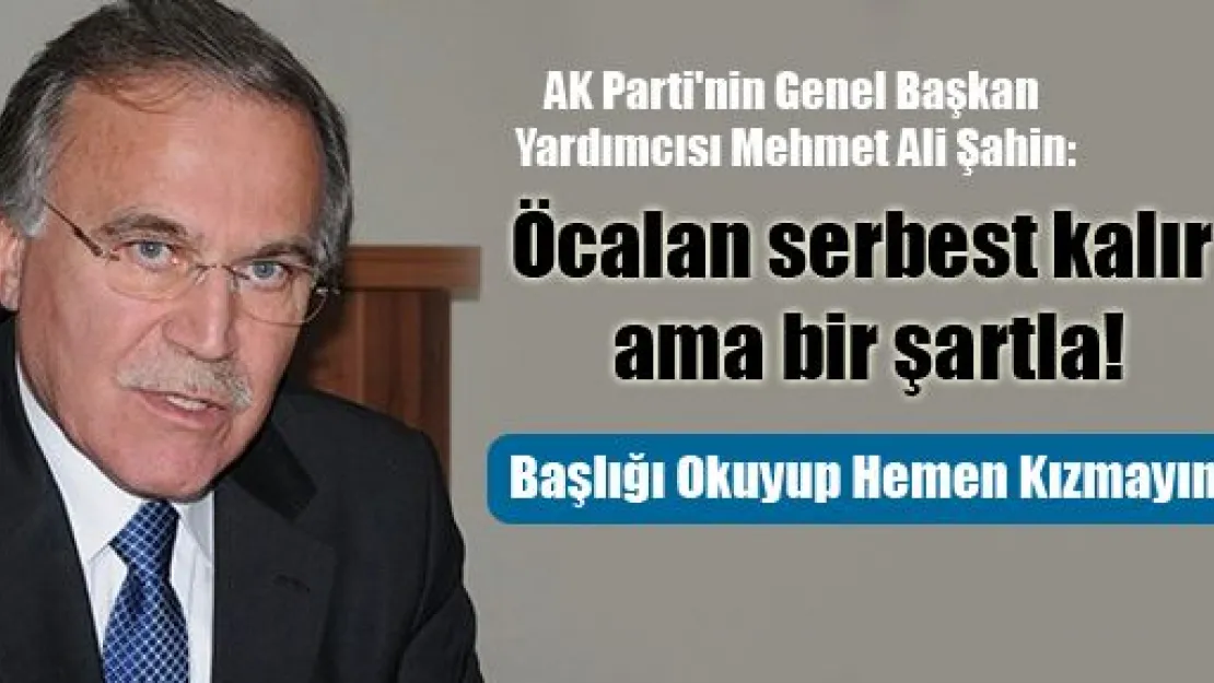 Mehmet Ali Şahin'den Önemli Açıklamalar