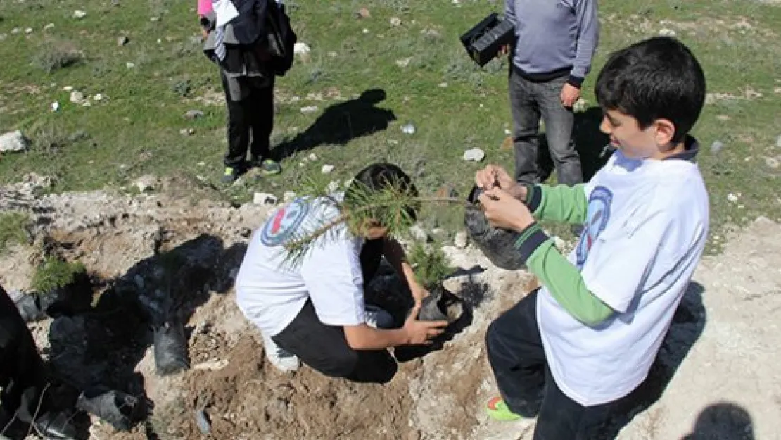 Öğrenciler Çanakkale şehitleri için fidan dikti