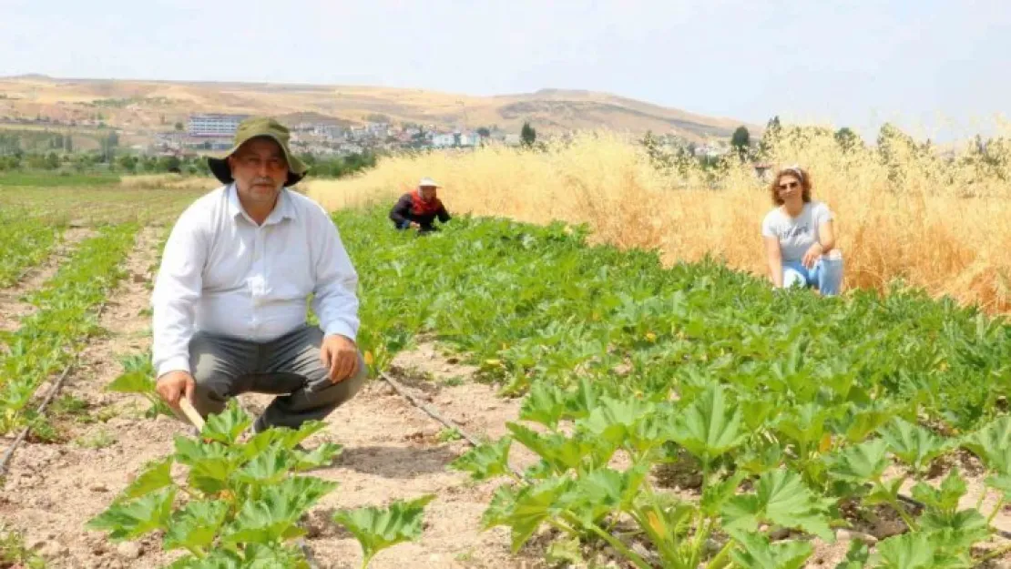 Okumanın yaşı olmaz dediler, geleceğin mesleğine adım attılar