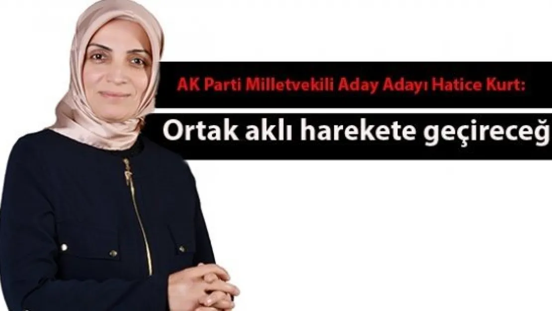 Ortak aklı harekete geçireceğiz