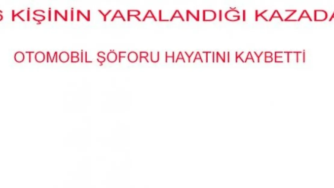 OTOMOBİL ŞÖFORU HAYATINI KAYBETTİ