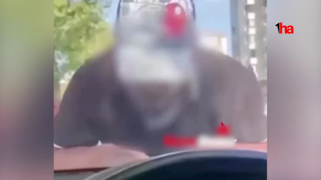 Otomobilin önünü kesip zorla para isteyen şüpheli yakalandı