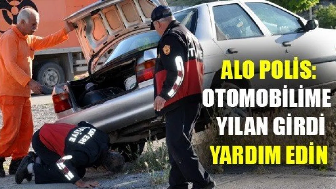 Otomobiline Yılan Girdi Diye Yardım İstedi