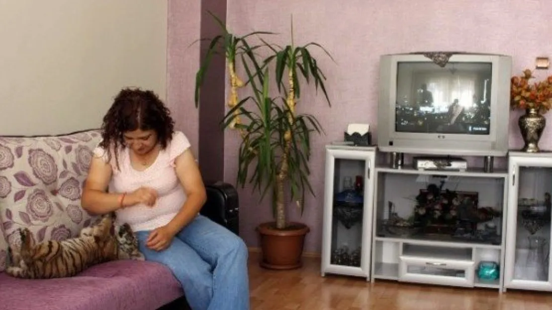 Annesinin Terk Ettiği Yavru Kaplana Evinde Bakıyor