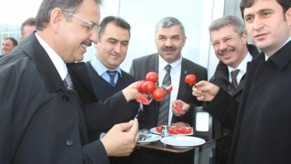Özhaseki, Şeker'i Ziyaret Etti 