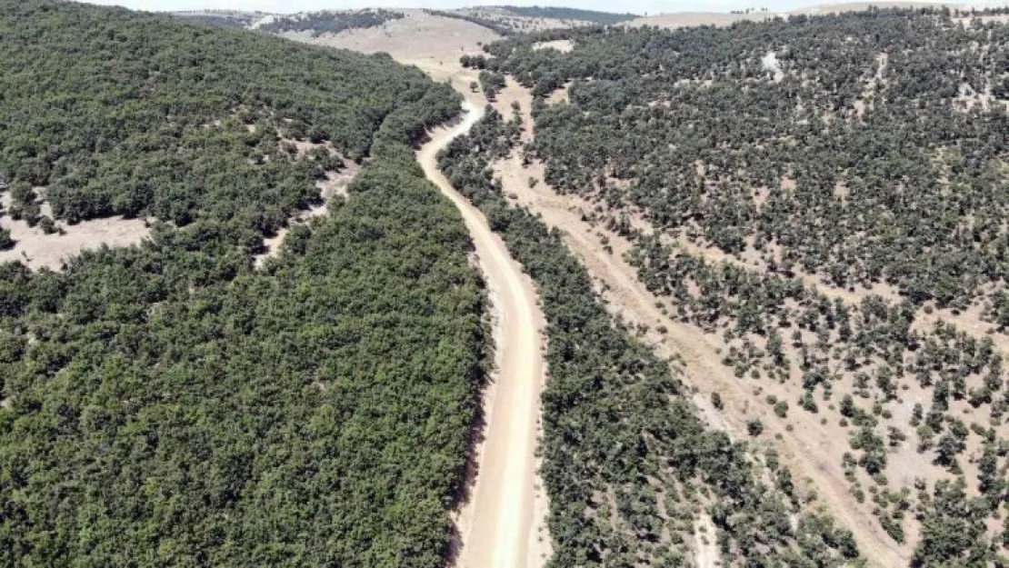 Özükavak beldesinde 5 kilometrelik yayla yolu kullanıma açıldı