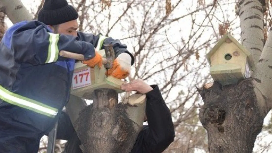 Parklara Kuş Yuvaları Yerleştirildi