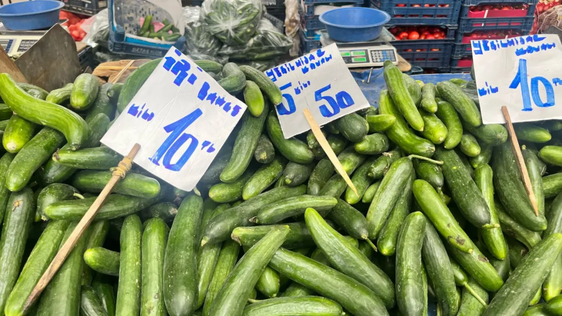 Pazar tezgahlarında salatalık sezonu açıldı