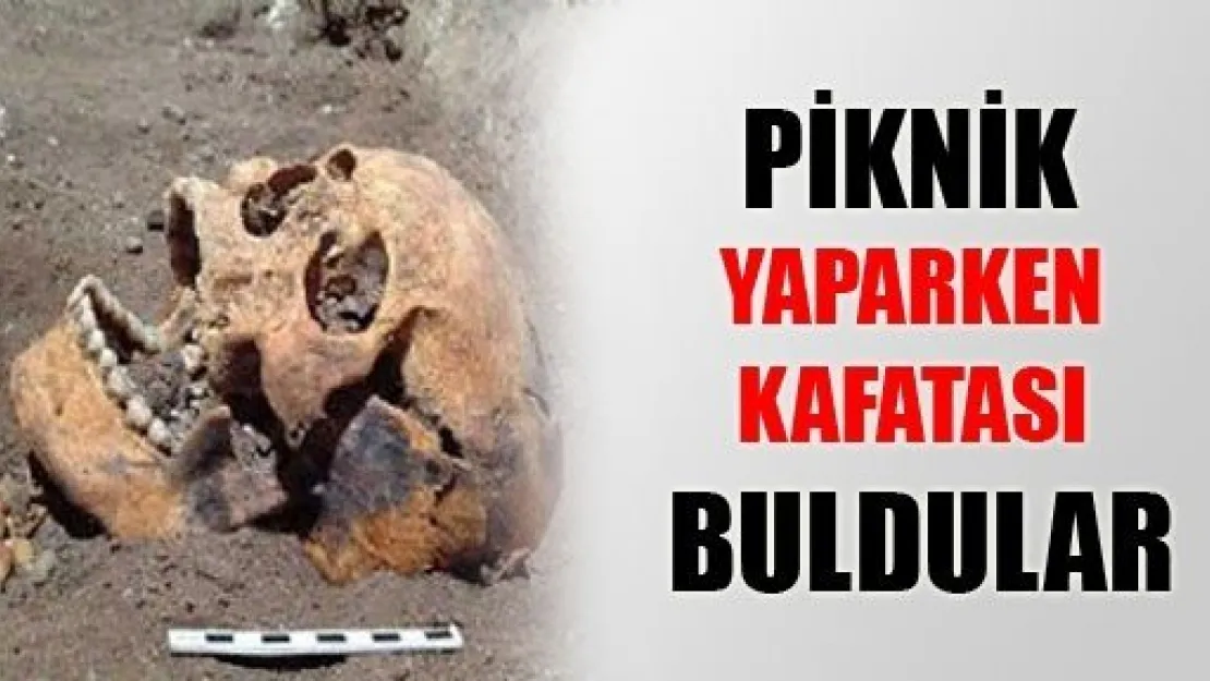 Piknik Yaparken Kafatası Buldular