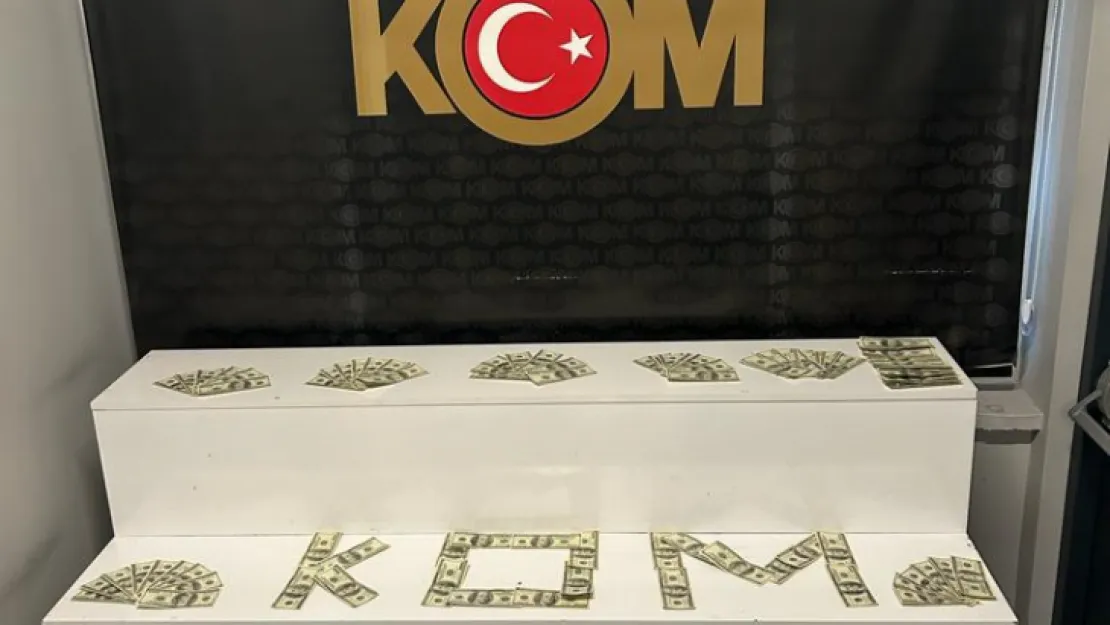 Piyasaya sürmek üzere sahte 14 bin dolar getiren şahıs yakalandı