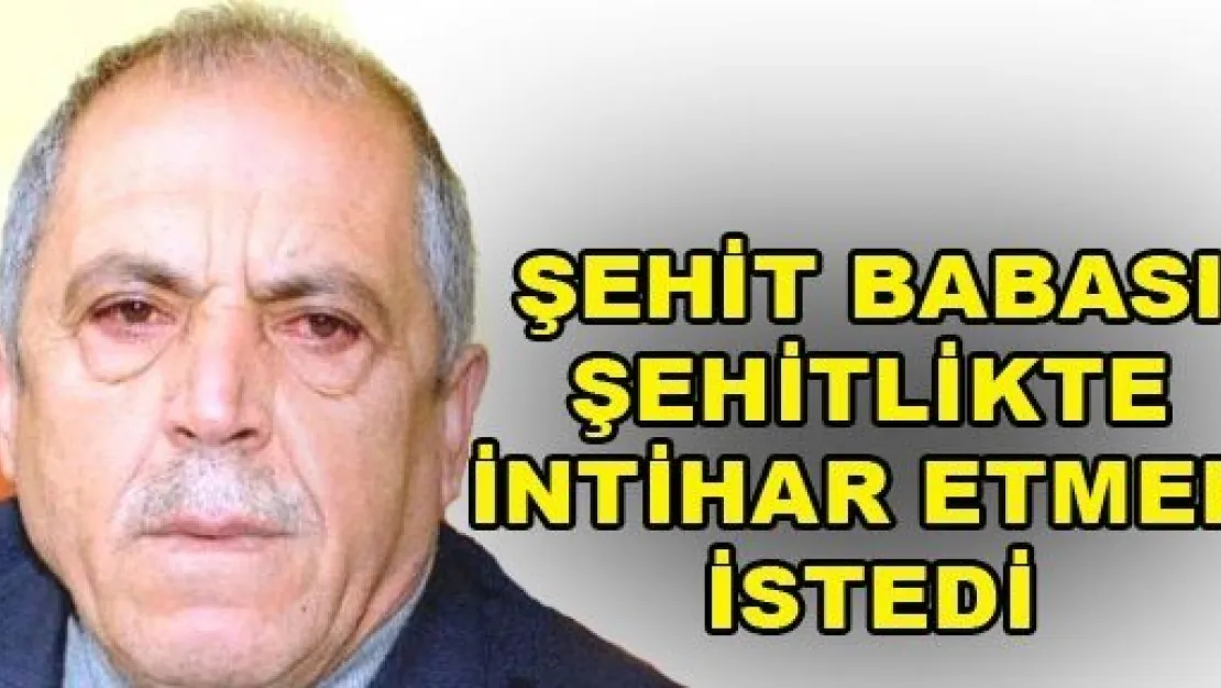 Şehit Babası Şehitlikte Canına Kıymak İstedi