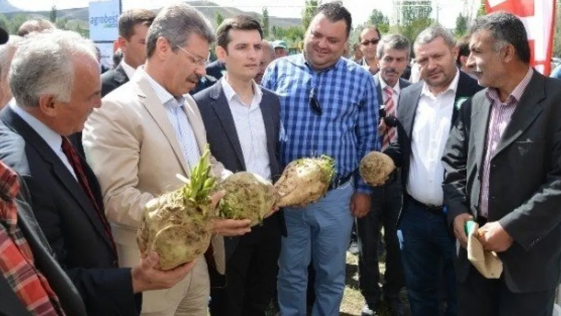 Şeker Pancarı Da Pancar Ekicisi De Sahipsiz  Değil 