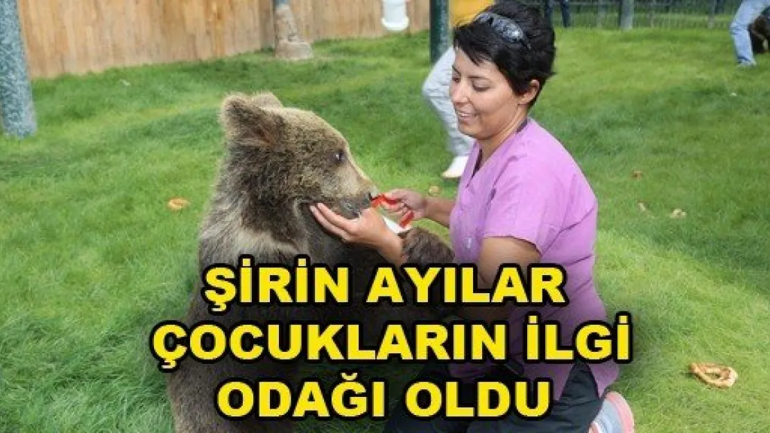 Şirin Ayılar Çocukların İlgi Odağı Oldu