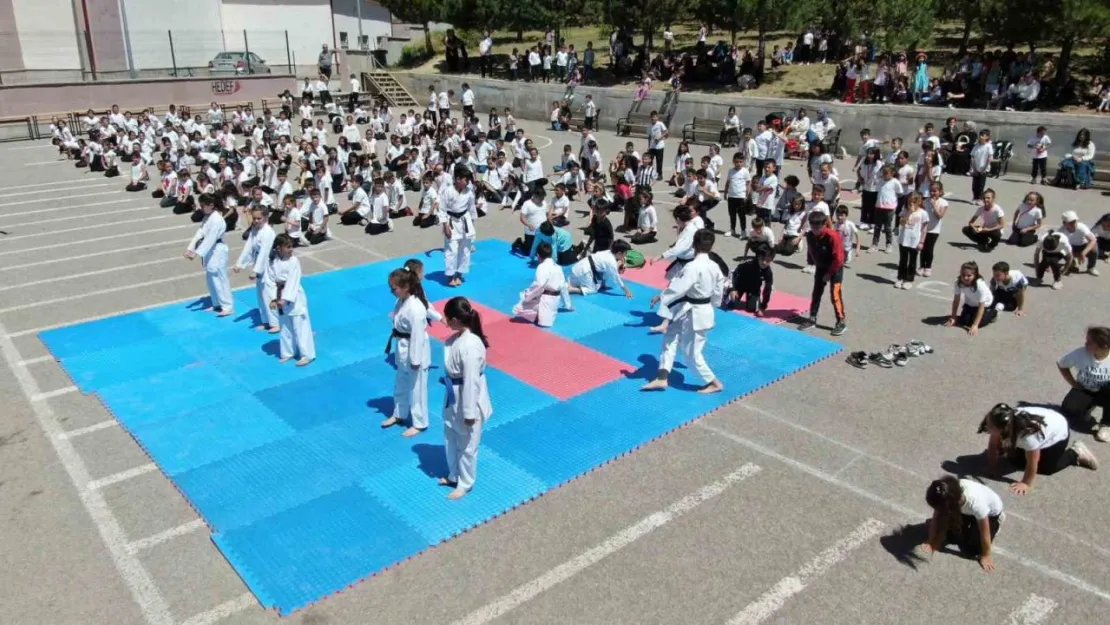450 kişilik karate gösterisi dikkat çekti