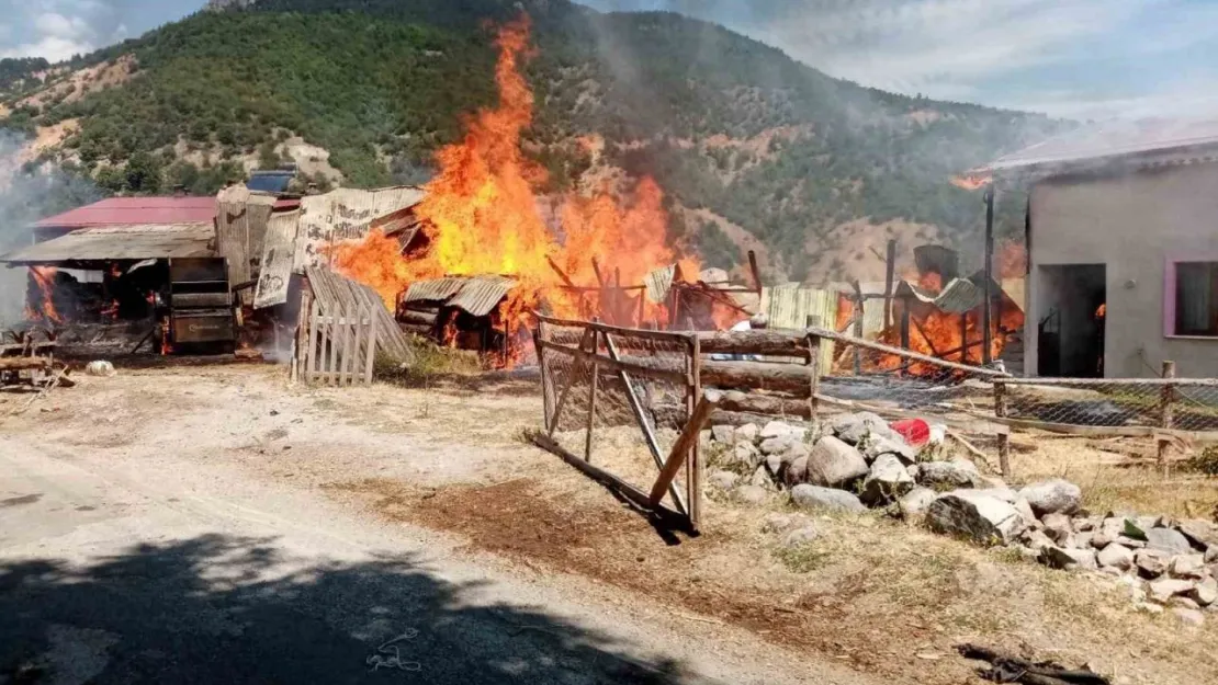 Sivas'ta korkutan yangın: 2 samanlık ve 2 ahır yandı