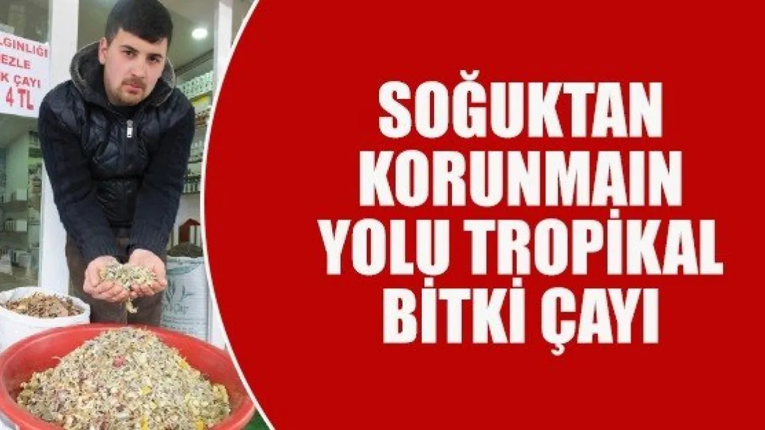  SOĞUKTAN KORUNMANIN YOLU TROPİKAL BİTKİ ÇAYI