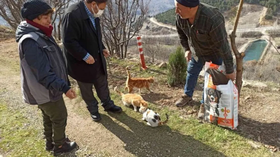 Sokak hayvanları unutulmadı,1 ton mama doğaya bırakıldı
