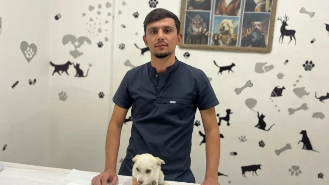 Sokakta salyalı bir köpek görürseniz uzak durun