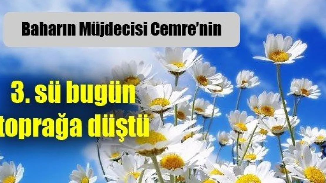 Son Cemre Bugün Düştü