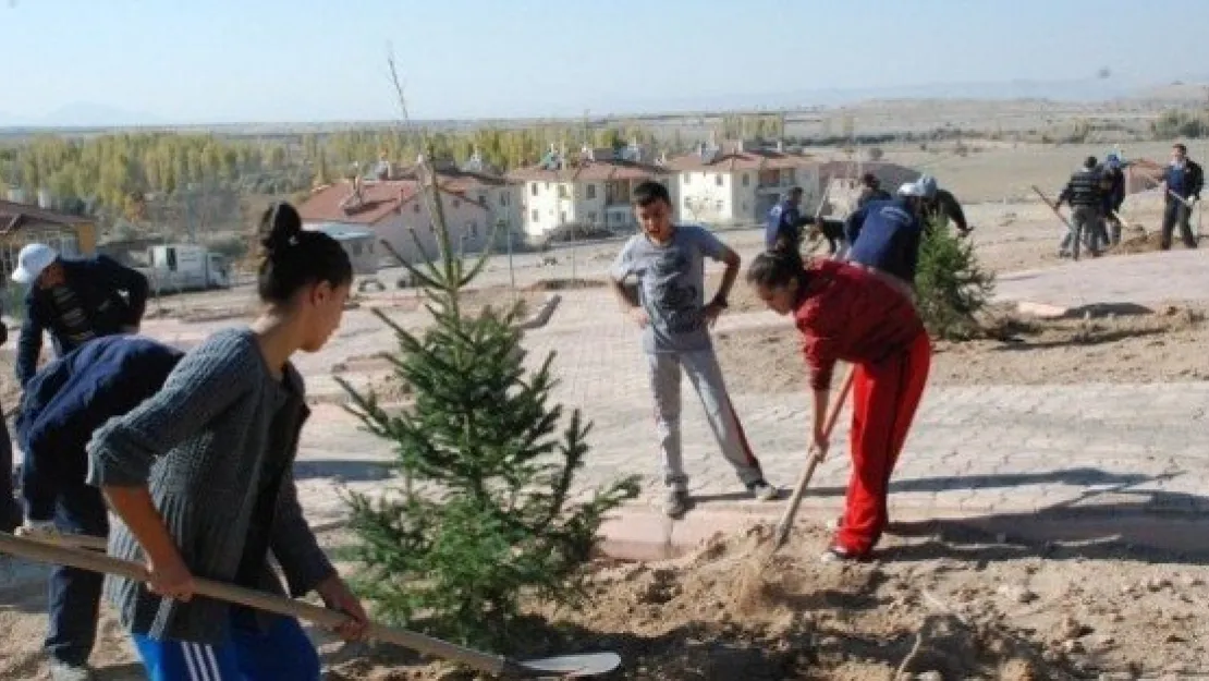 Sonbahar Fidan Dikim Çalışmaları Öğrencilerin Katılımıyla Devam Ediyor 