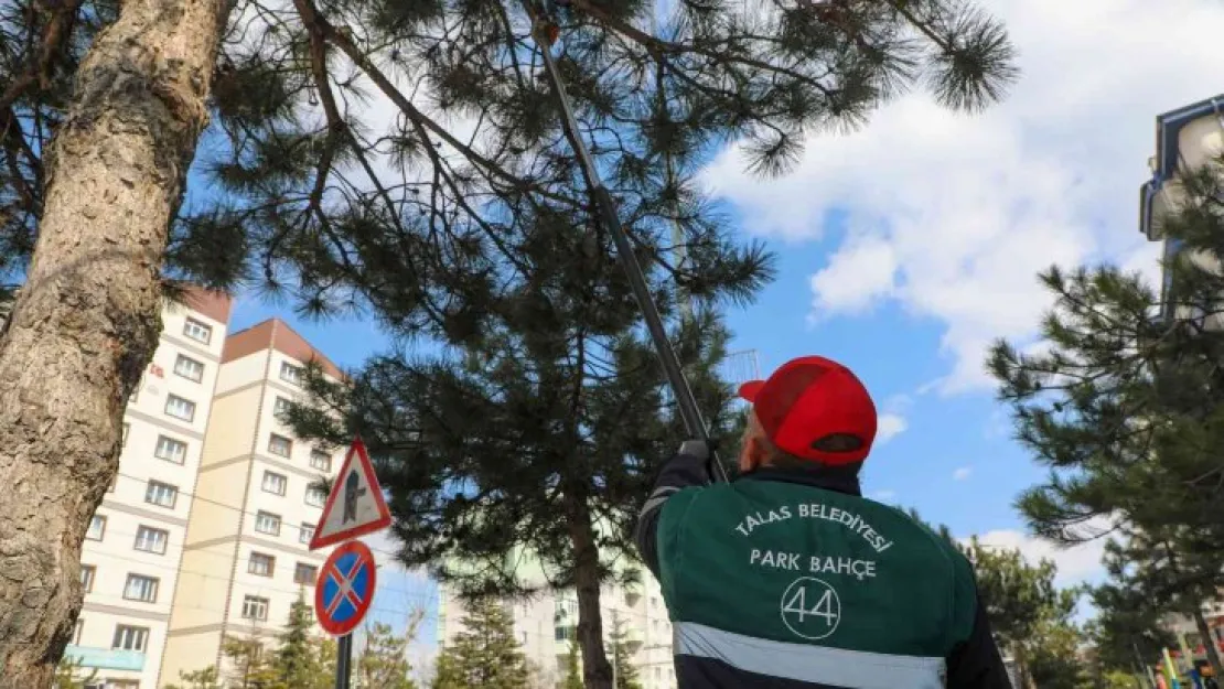 Talas Belediyesi 'bahara merhaba' dedi