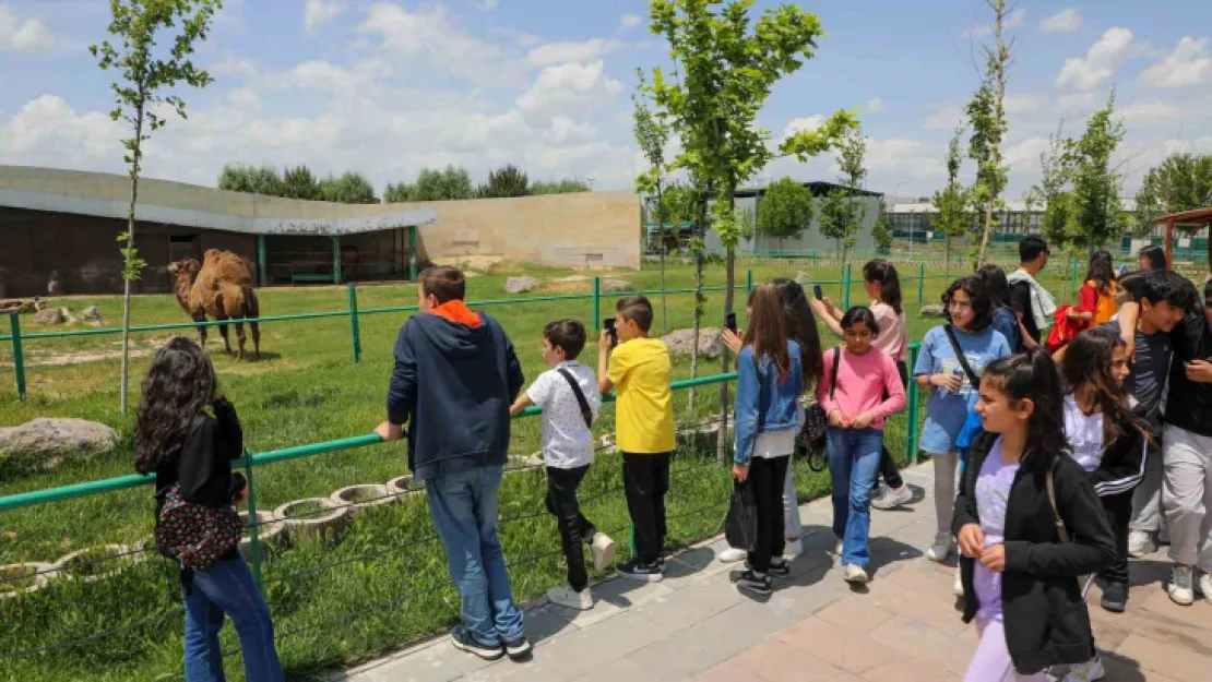 Talas'ın öğrencileri 'şehri tanıyor'