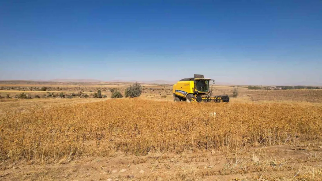 Talas'ta 2 bin 500 litre aspir yağı alındı