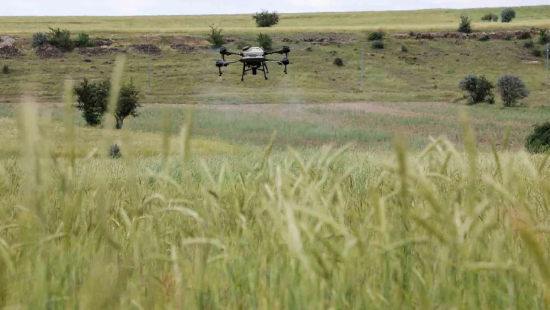 Talas'ta drone ile ilaçlama devri