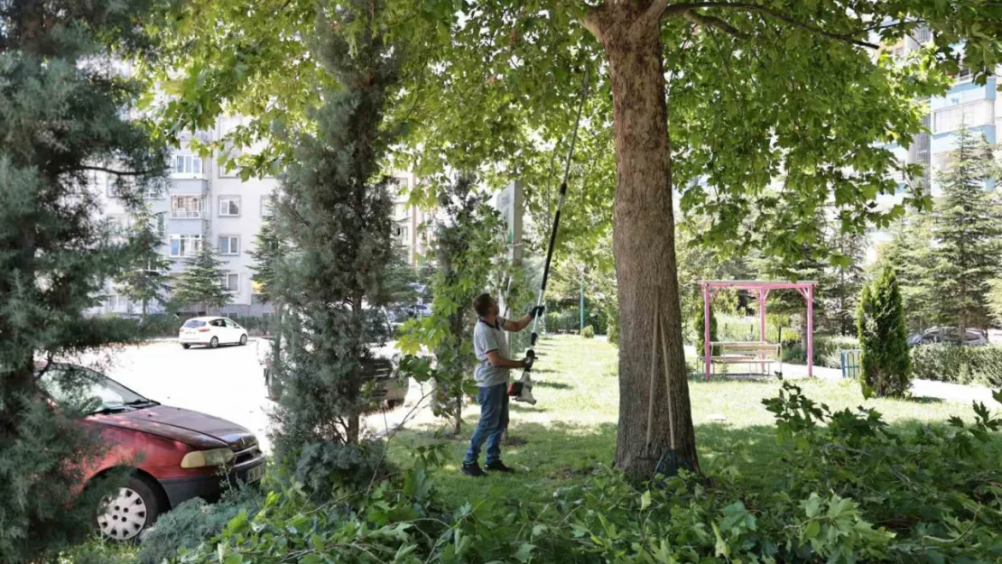 Talas'ta park ve bahçelere yaz bakımı