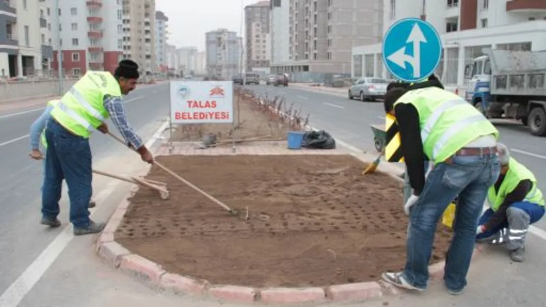 Talas, Rengarenk Olacak