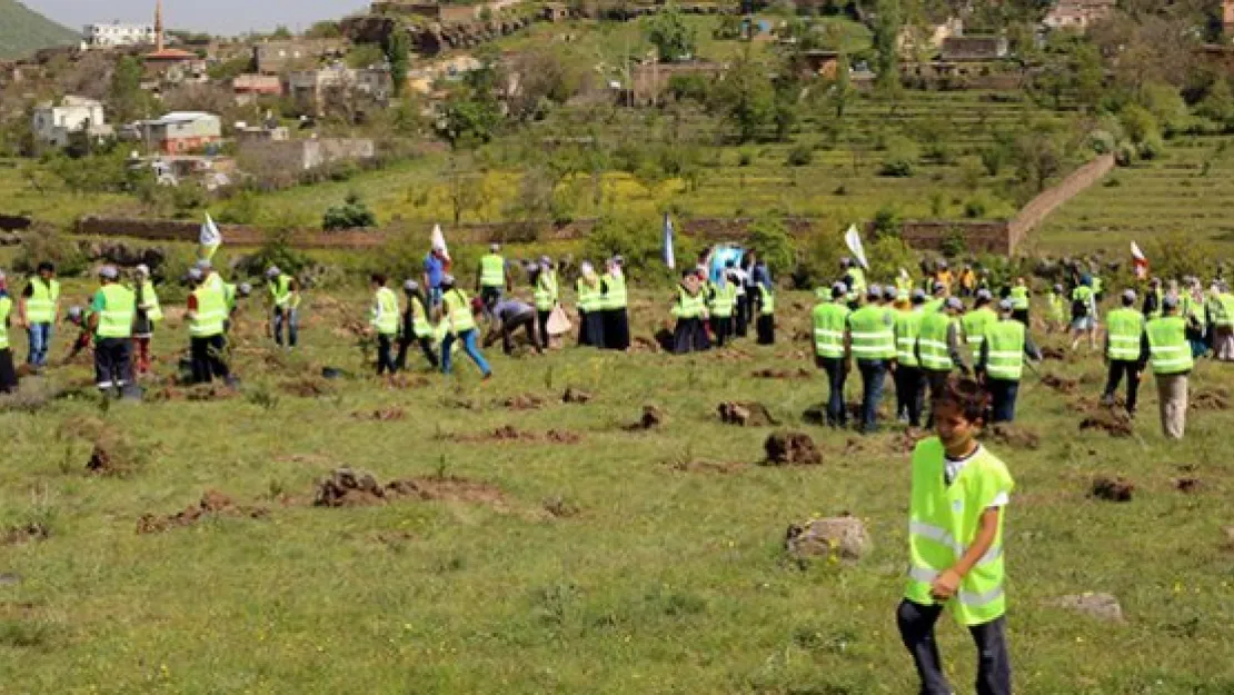 Talas'ta bir cana 10 fidan projesi