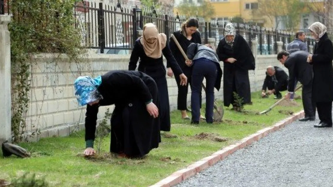 Talas'ta Ağaç Seferberliği