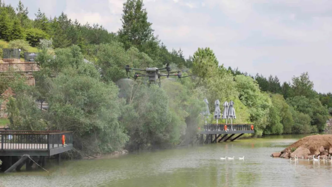 Talas'ta, sinekle mücadelede dron devri