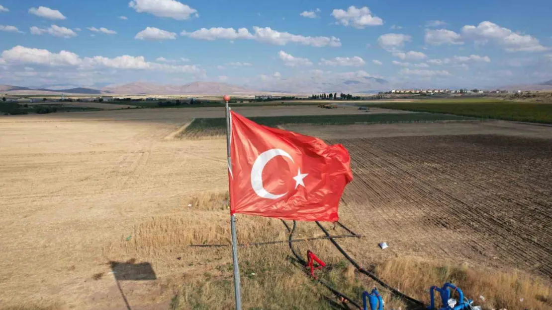 Tomarza'da ekmeklik buğday hasadı tüm hızıyla sürüyor