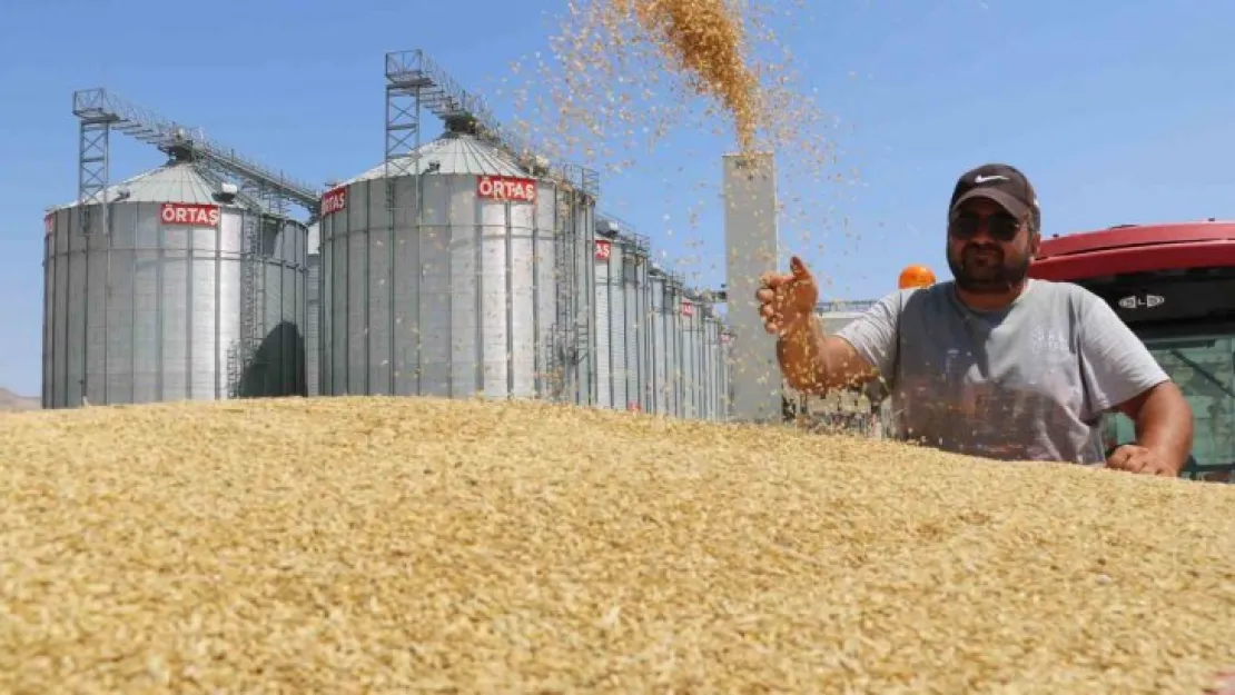 Türkiye'nin buğday ambarında yeni bir rekor bekleniyor