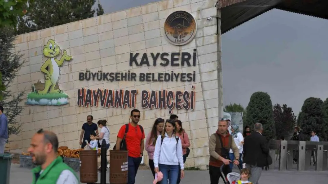 Ücretsiz hayvanat bahçesine yoğun ilgi