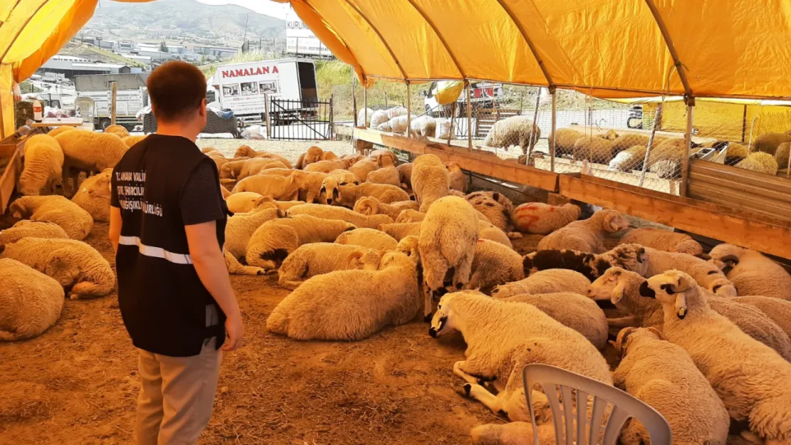 'Umuma Açık Alanlarda Kesim Yapanlara Cezai İşlem Uygulanacak'