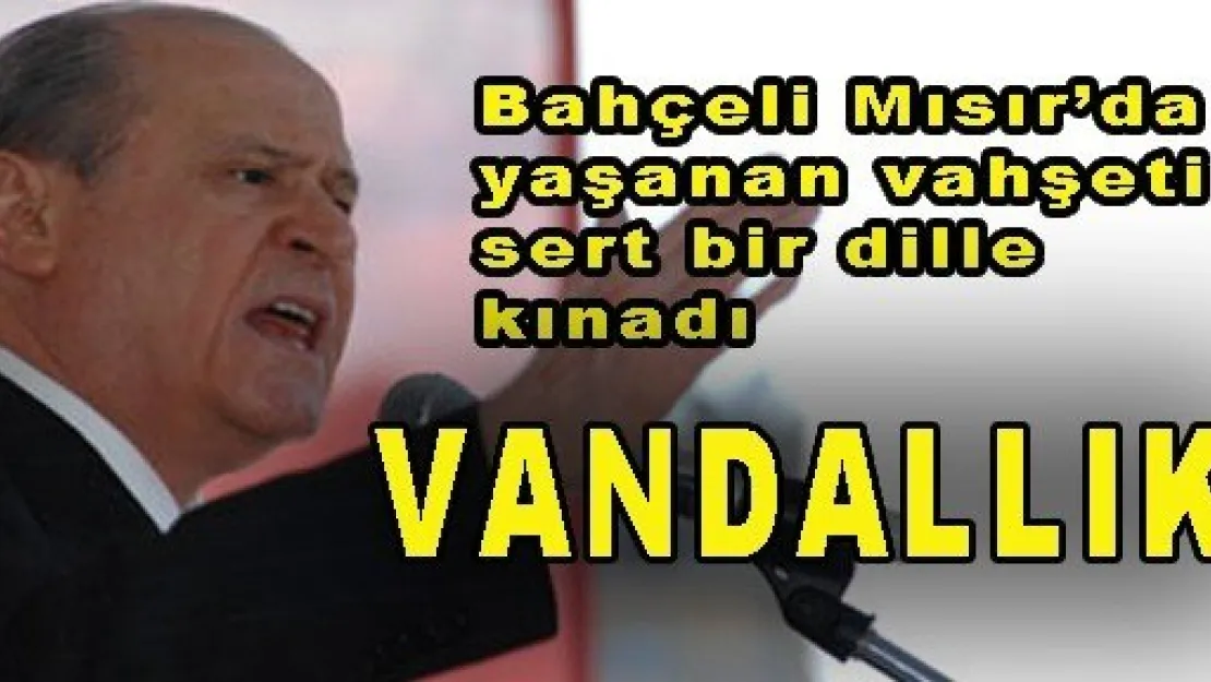 Vandallık