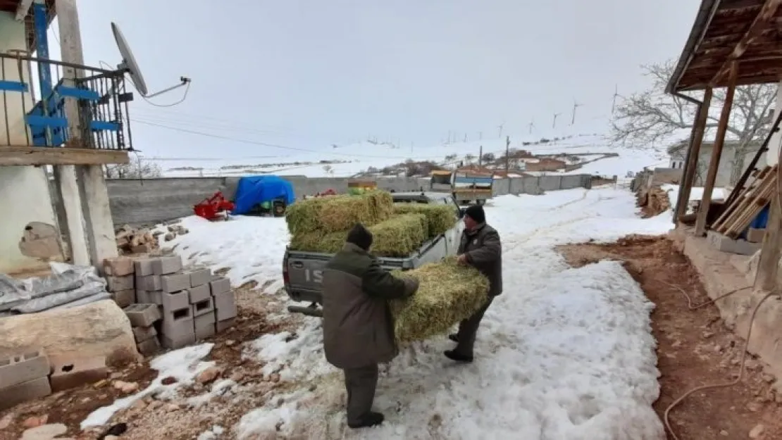 Yaban hayatına köylü ve hayırseverlerden destek