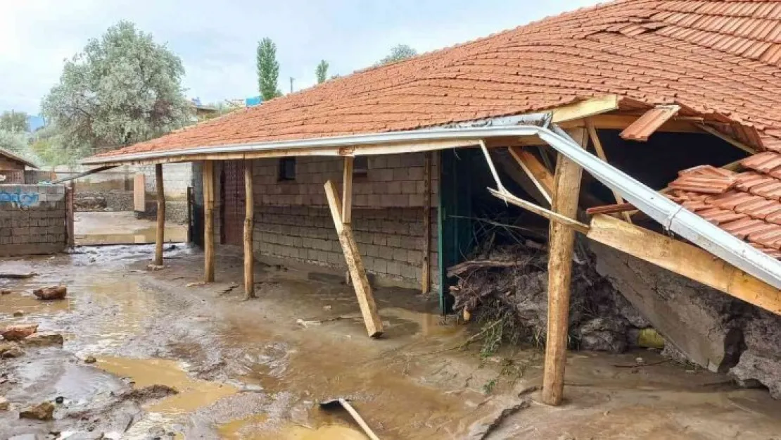 Yağış nedeniyle mandıralar çöktü, hayvanlar telef oldu