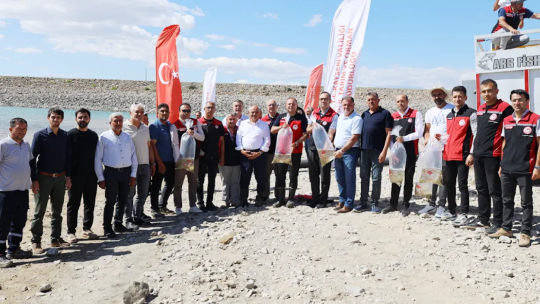 Yahyalı'da 600 Bin Yavru Sazan Balığı Ağcaşar Barajıyla Buluştu