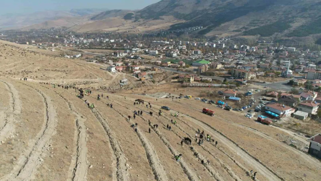 Yahyalı'da binlerce fidan toprakla buluştu