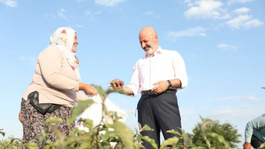 Yamula Patlıcanı Etkinliği'ne Davet