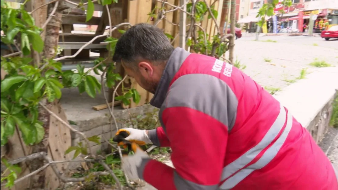 Yaralı ebabil kuşu, Küçük Dostlar Ambulansı ile tedavi altına alındı