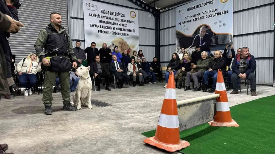 Yasaklı ırk köpeklere ve engelli köpeklere uyum eğitimi