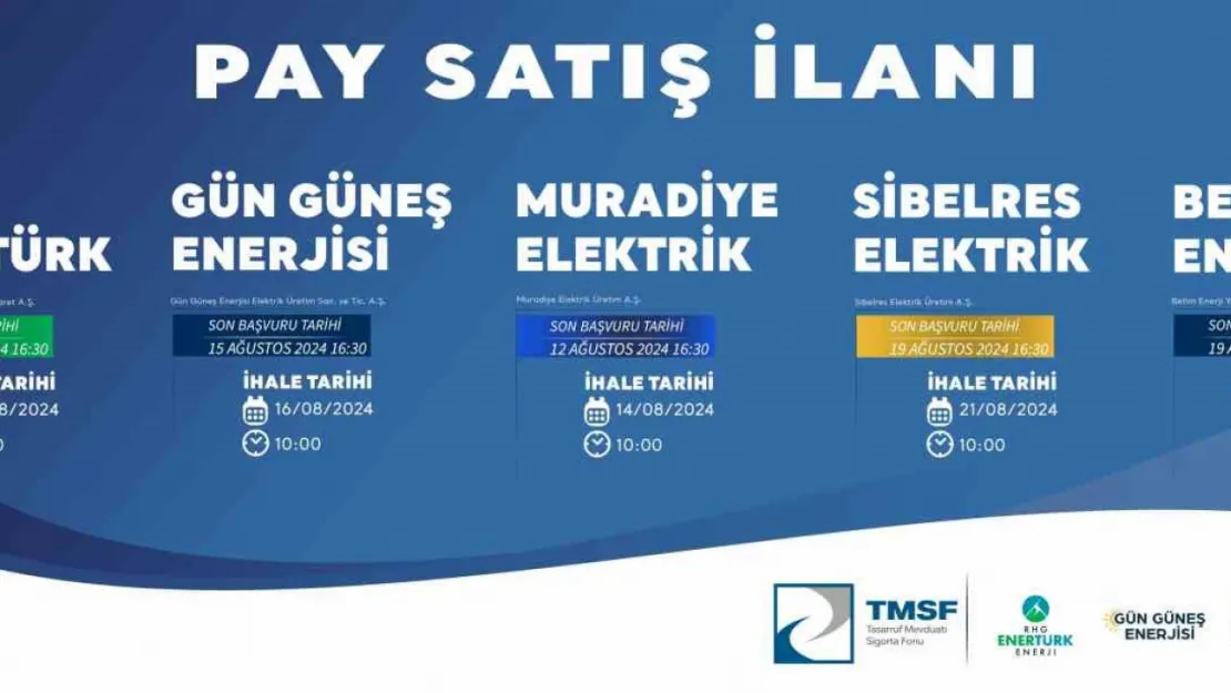 TMSF enerji şirketlerini ihaleye çıkardı